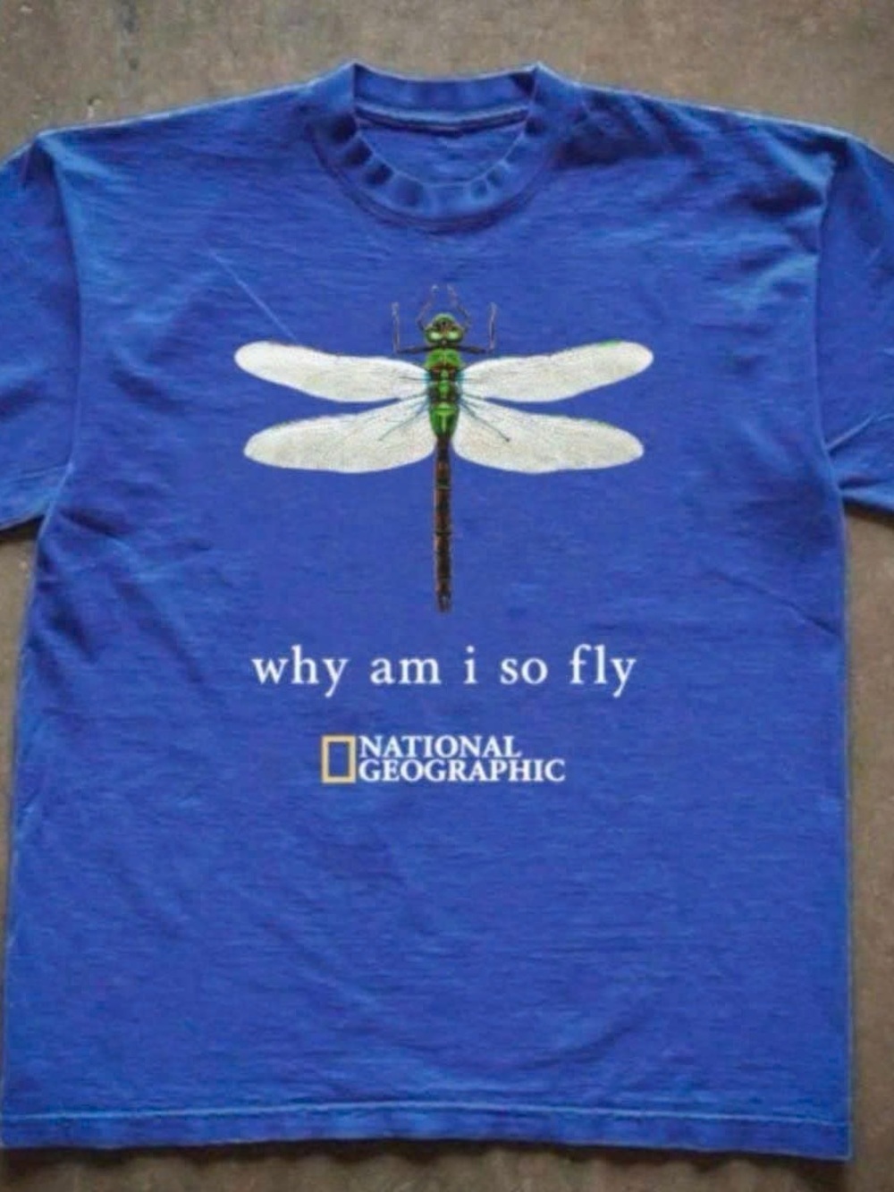 Gildan Royal Blue Tee with Green Dragonfly Graphic